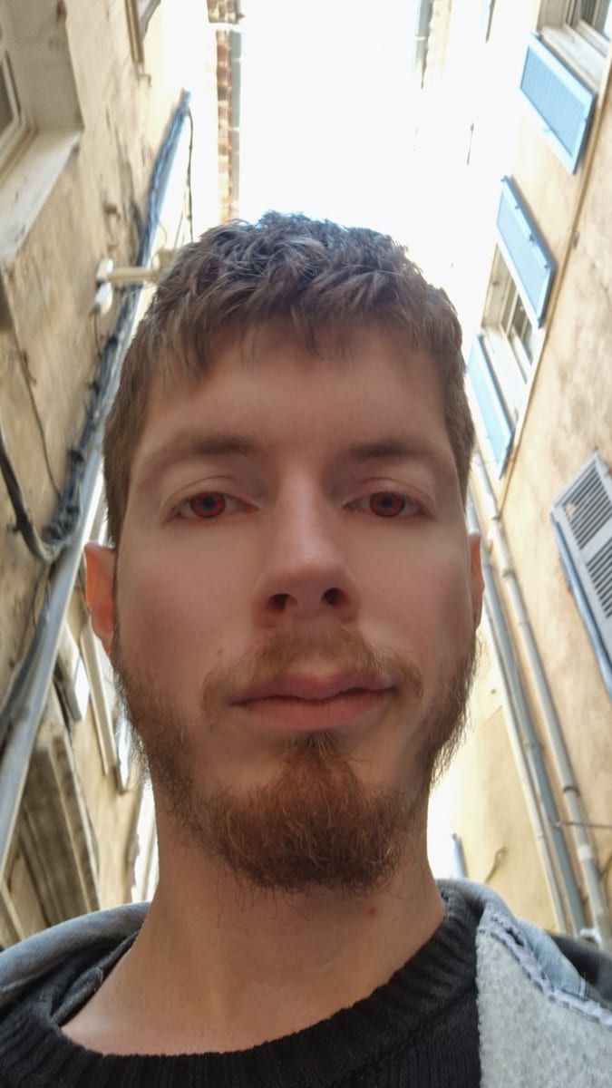 Profil von Vithusan